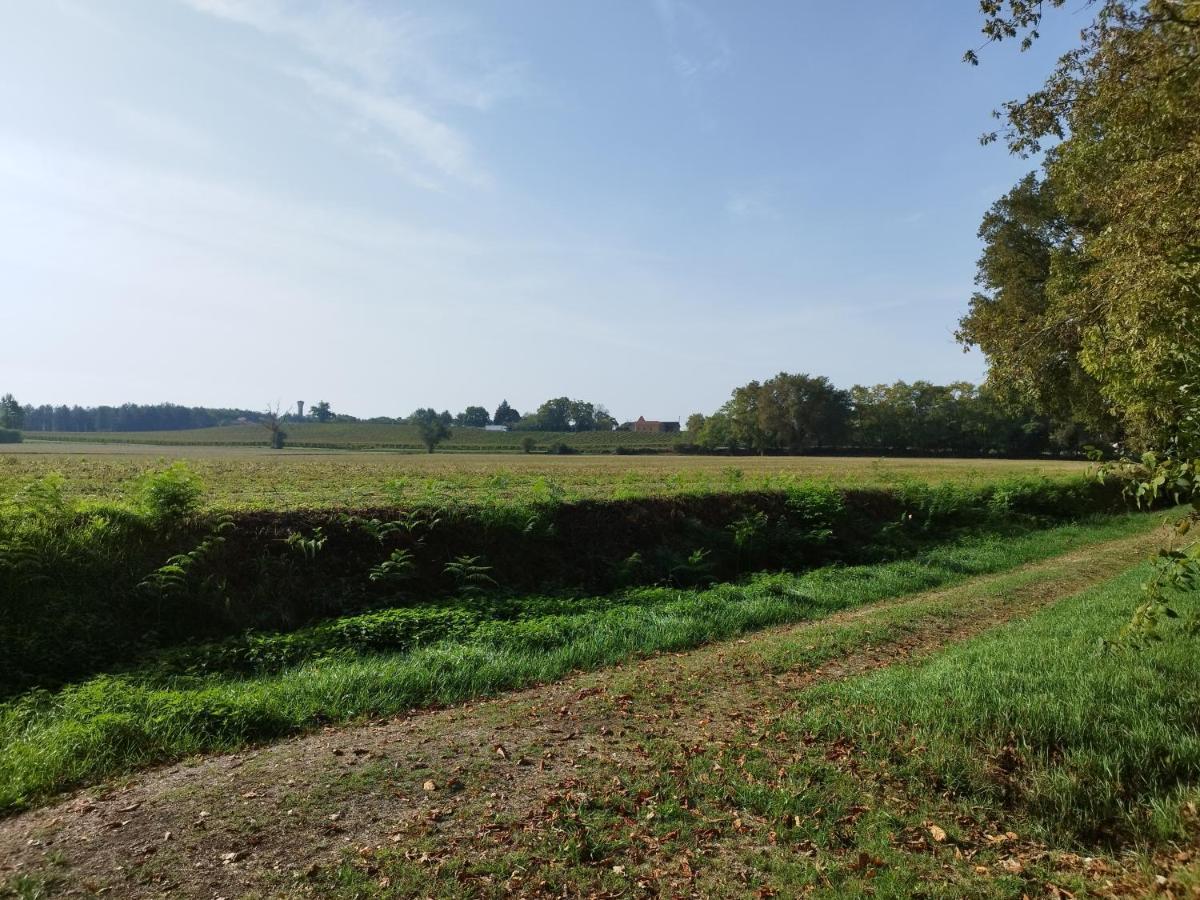 La Cordonnerie De Las Places Campagne-d'Armagnac 外观 照片